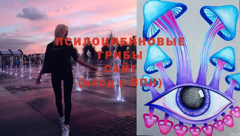 shop какой сайт  Серов  Псилоцибиновые грибы Cubensis  цена   mega сайт 